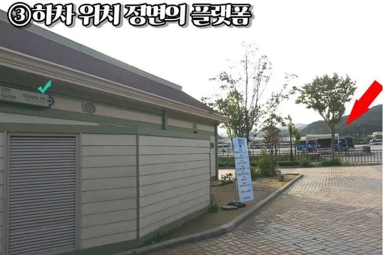 서울 - 에버랜드 & 캐리비안베이 왕복 셔틀버스 체험