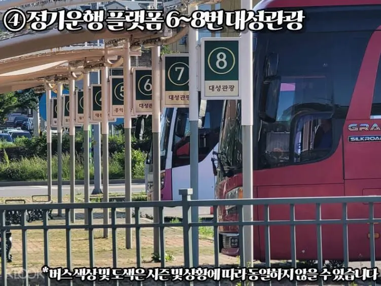 서울 - 에버랜드 & 캐리비안베이 왕복 셔틀버스 체험