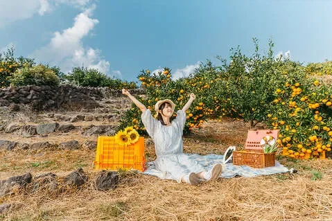 [제주스냅] 가족 커플 만삭 우정 촬영(인원 추가금 없음) 체험