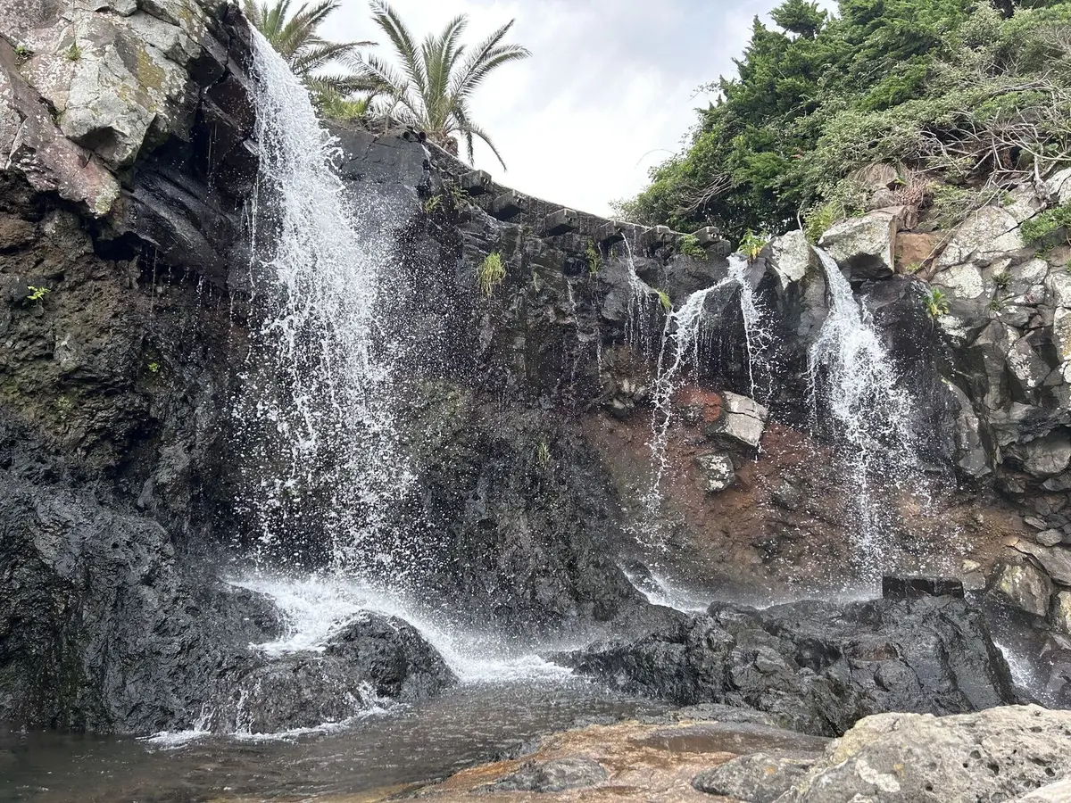 제주도버스여행 시원한숲길 바다올레길 히든스팟 예쁜카페 맛집을 하루에 여행 가능 체험