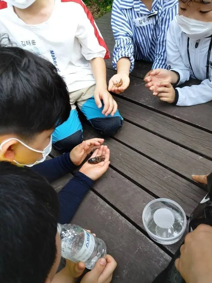 키즈 서울/경기/대전/광주/부산 우리동네 숲으로 출동 숲파티포레 프라이빗 숲체험 체험
