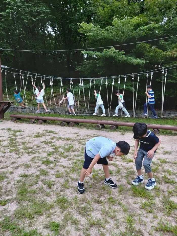 키즈 서울/경기/대전/광주/부산 우리동네 숲으로 출동 숲파티포레 프라이빗 숲체험 체험