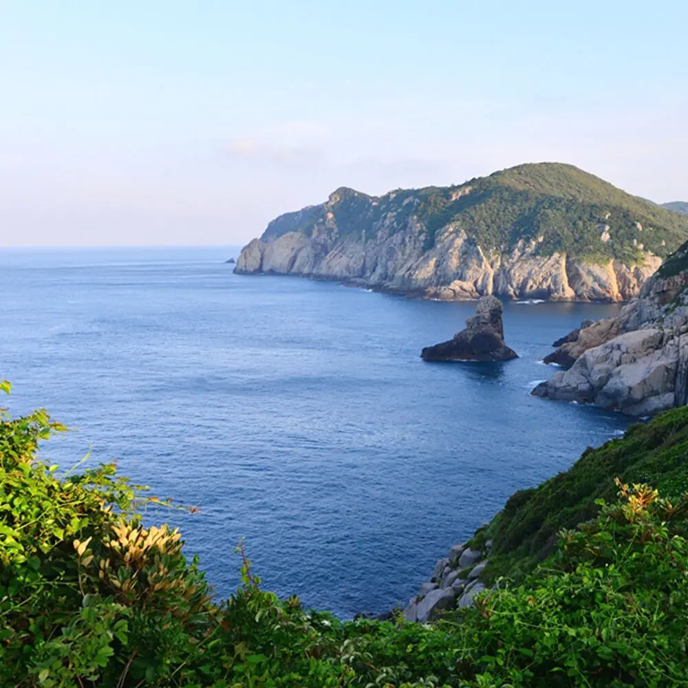 [국내섬여행] 여수출발 거문도·백도 1박 2일 올인원 패키지 (유람선·숙소·식사 포함) 체험