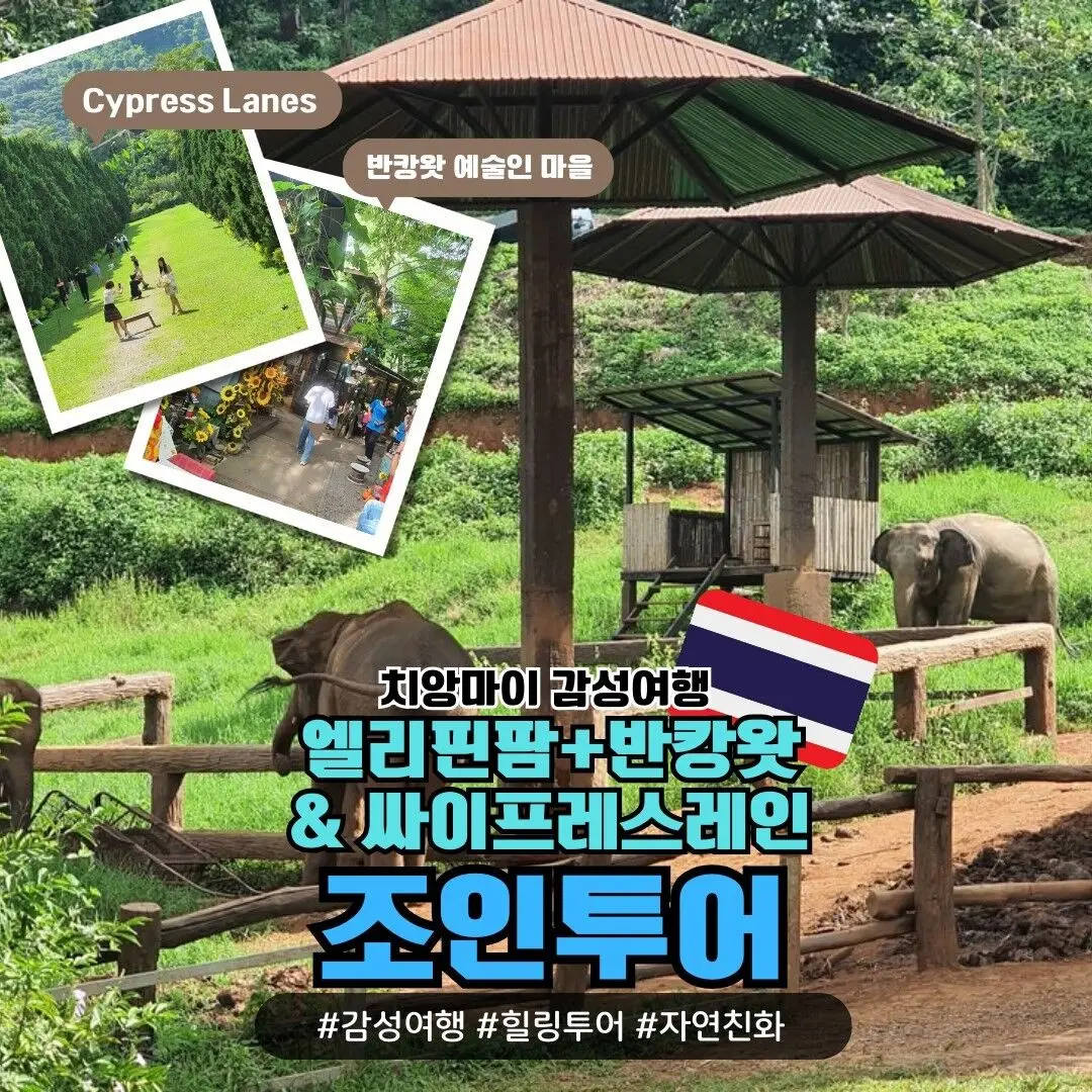 치앙마이 감성여행! 엘리핀팜&카페+반캉왓+Cypress Lanes(100바트음료쿠폰 포함) 체험