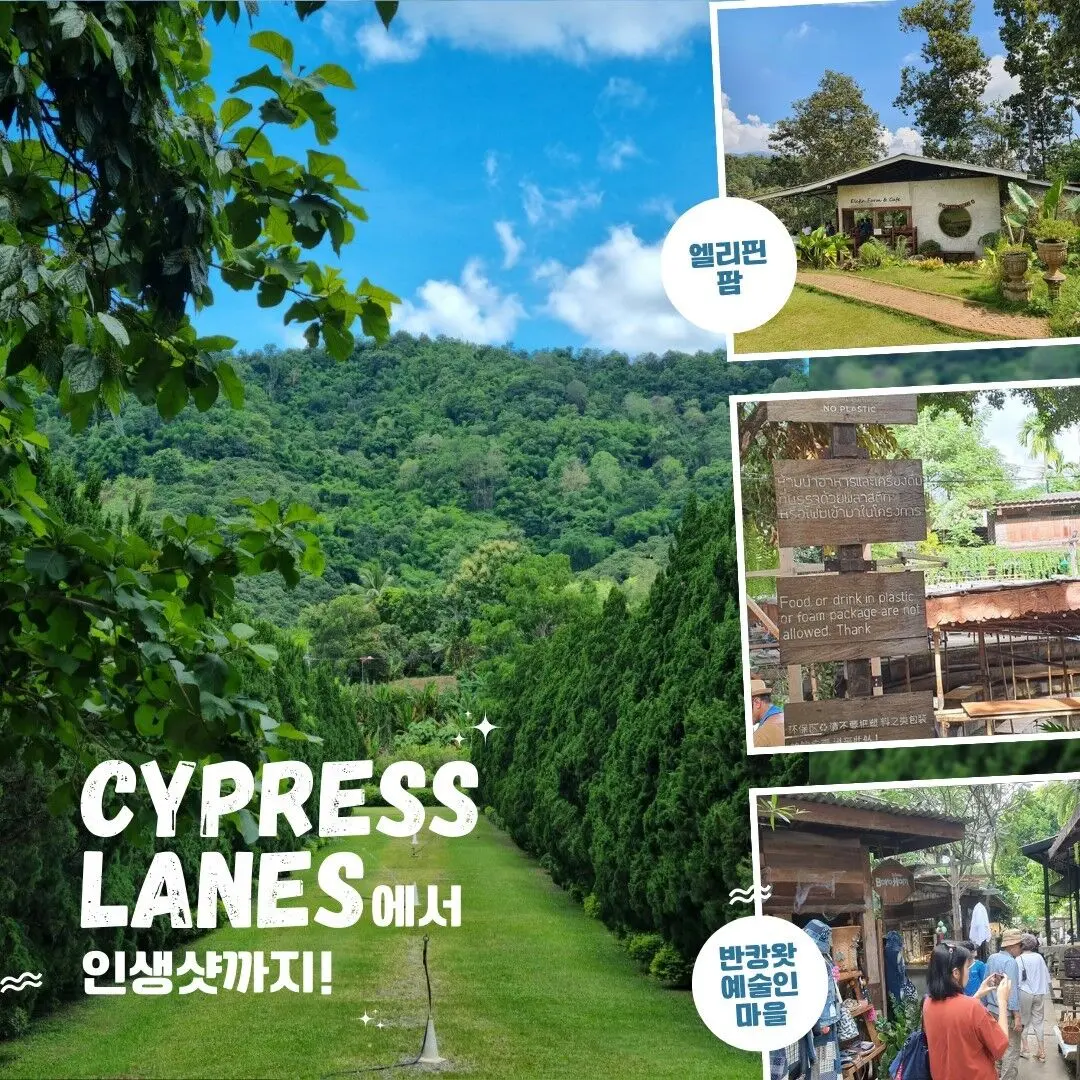 치앙마이 감성여행! 엘리핀팜&카페+반캉왓+Cypress Lanes(100바트음료쿠폰 포함) 체험