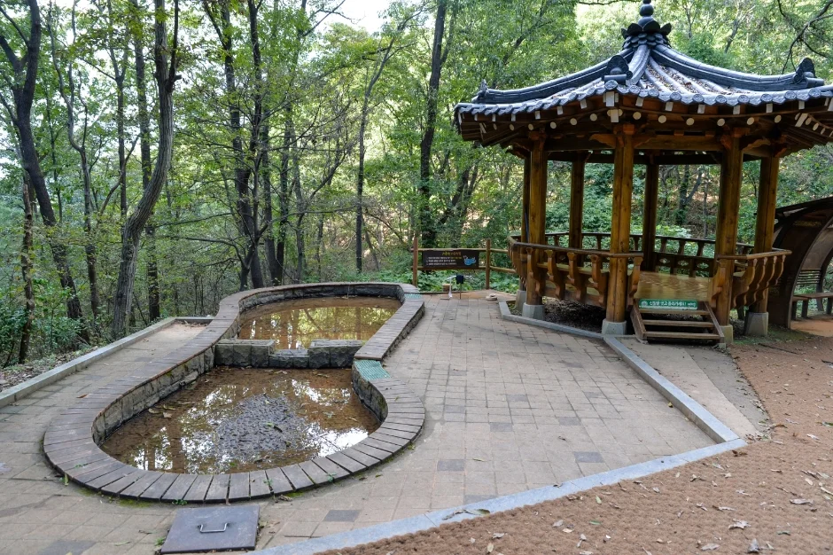 대전 대덕구 장동산림욕장, 주차장과 산책 코스 정보