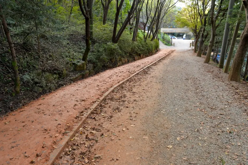 장동산림욕장 (2)