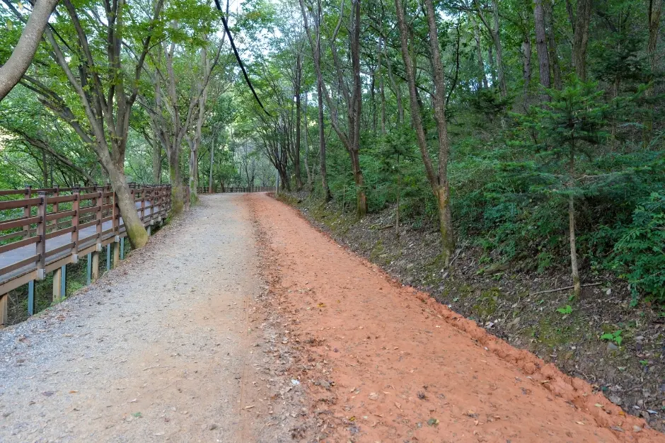 장동산림욕장 (3)