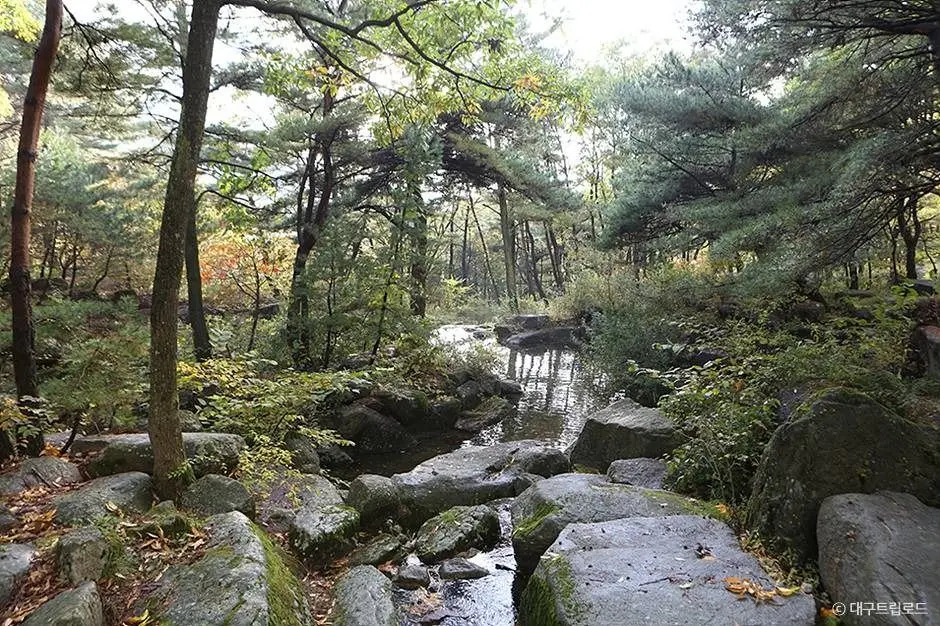 대구_비슬산 군립공원 (2)