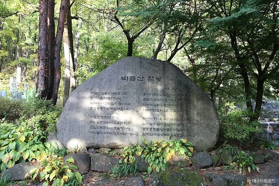 대구_비슬산 군립공원 (3)