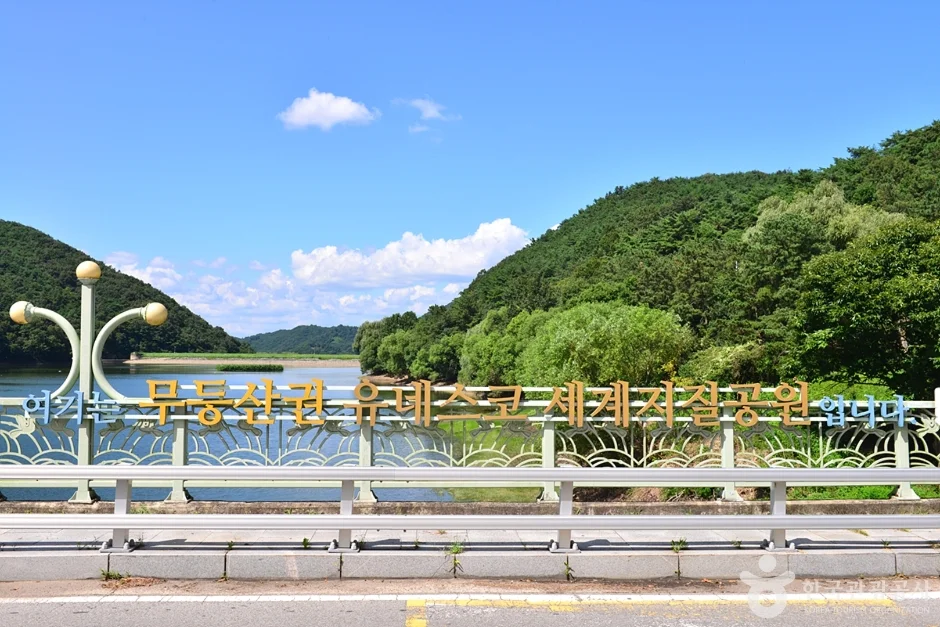 4월에만 만날 수 있는 비밀 정원?"... 광주 북구 제4수원지 벚꽃길 3km