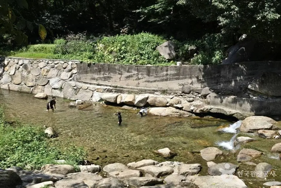 대천천_e (6)