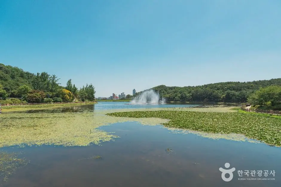 이천_설봉저수지 (5)