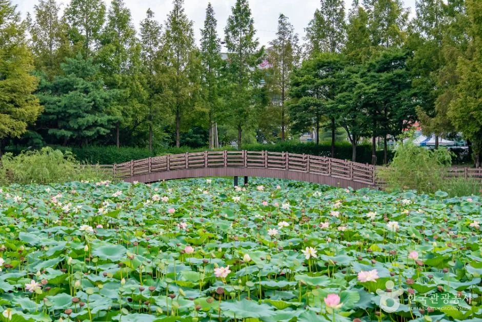 화성 봉담호수공원, 주차와 산책하기 좋은 코스