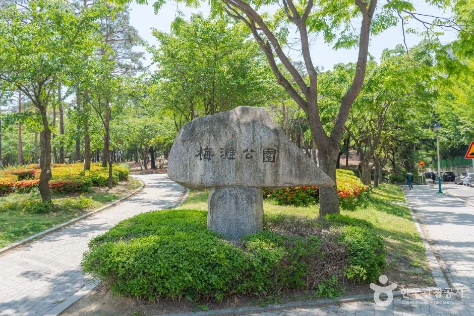 수원 매탄공원, 봄꽃 명소와 산책 코스 정보