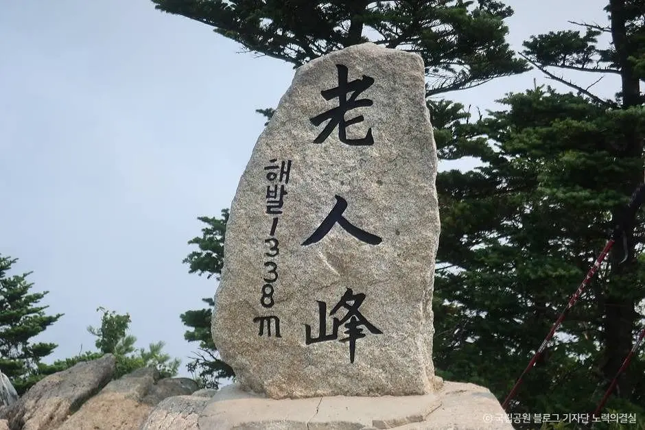 평창_오대산국립공원 (1)