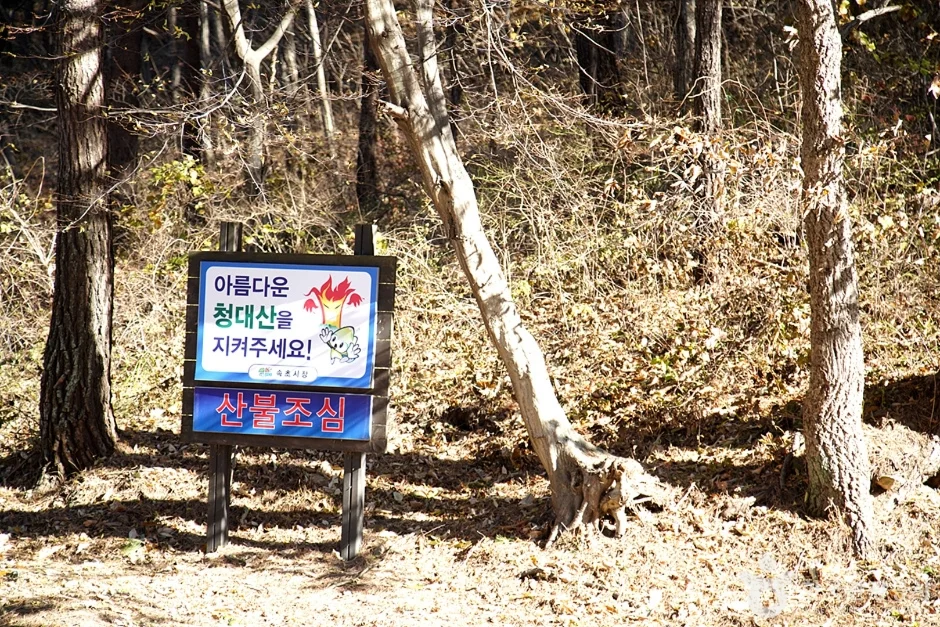 바다 전망이 한눈에"... 강원특별자치도 속초시 청대산에서 만나는 힐링 산책길