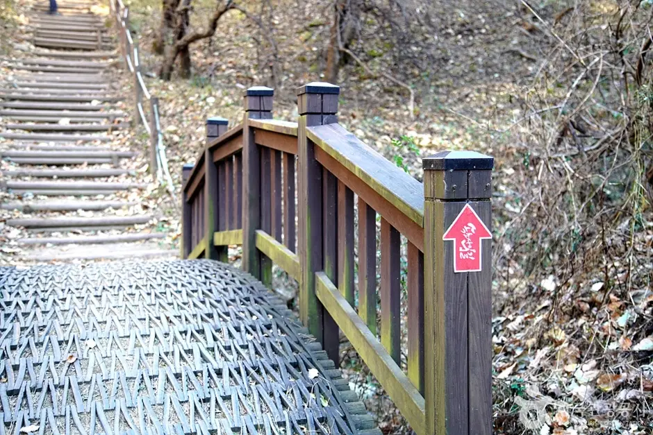 청대산 (7)