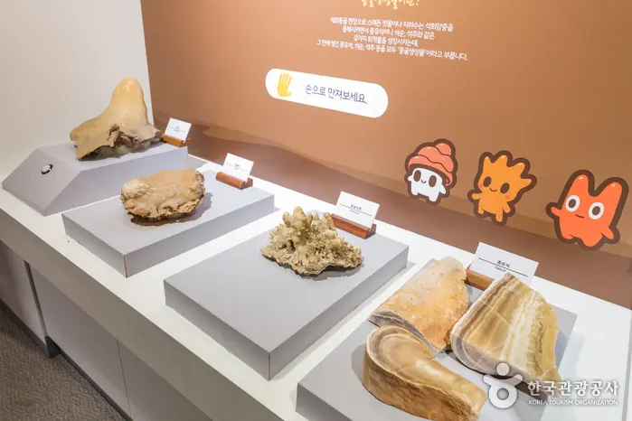 백룡동굴 (강원고생대 국가지질공원) 4