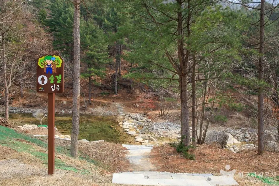 춘천_국립춘천숲체원 (1)