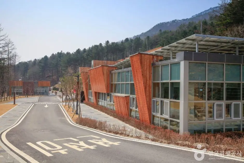 춘천_국립춘천숲체원 (8)