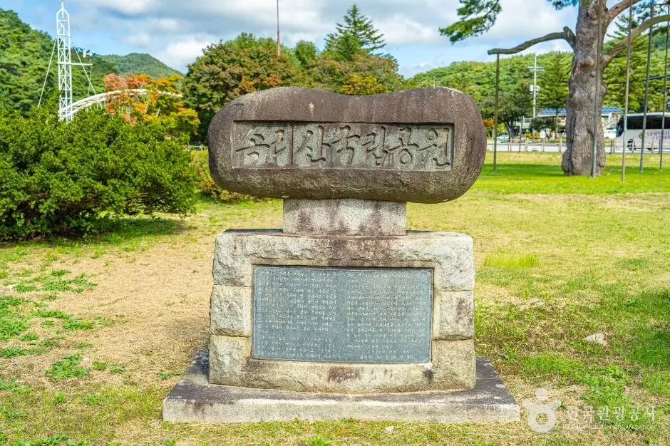 보은_보은 속리 정이품송 (4)