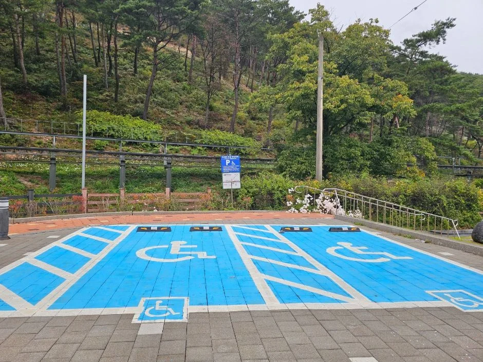 보은 속리산테마파크모노레일, 입장료와 운행 시간 총정리