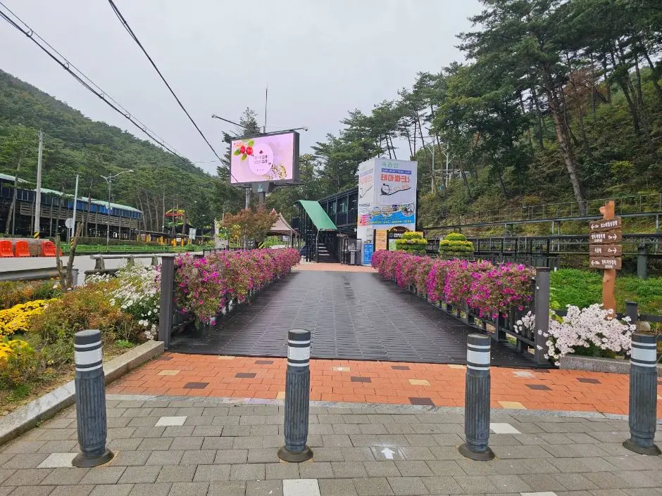 속리산테마파크모노레일_주출입로