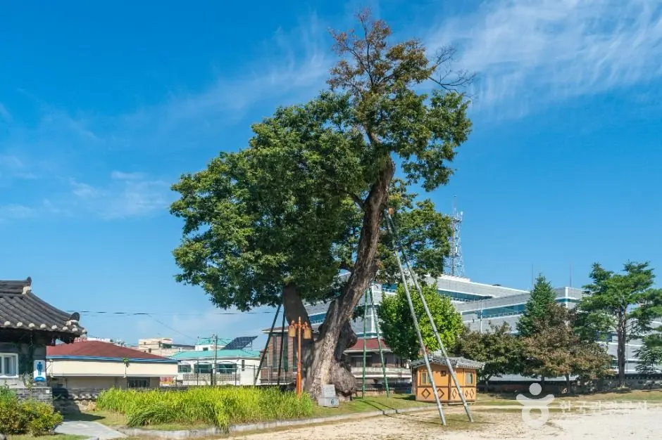 충주_충주 관아공원 (3)