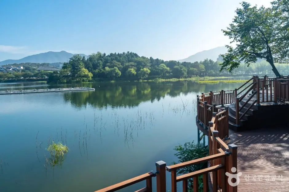 충주_호암지 (6)