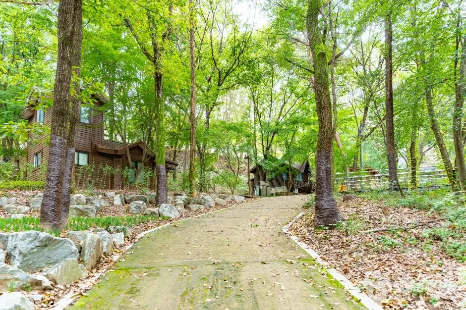 아산_아산 영인산자연휴양림 (3)