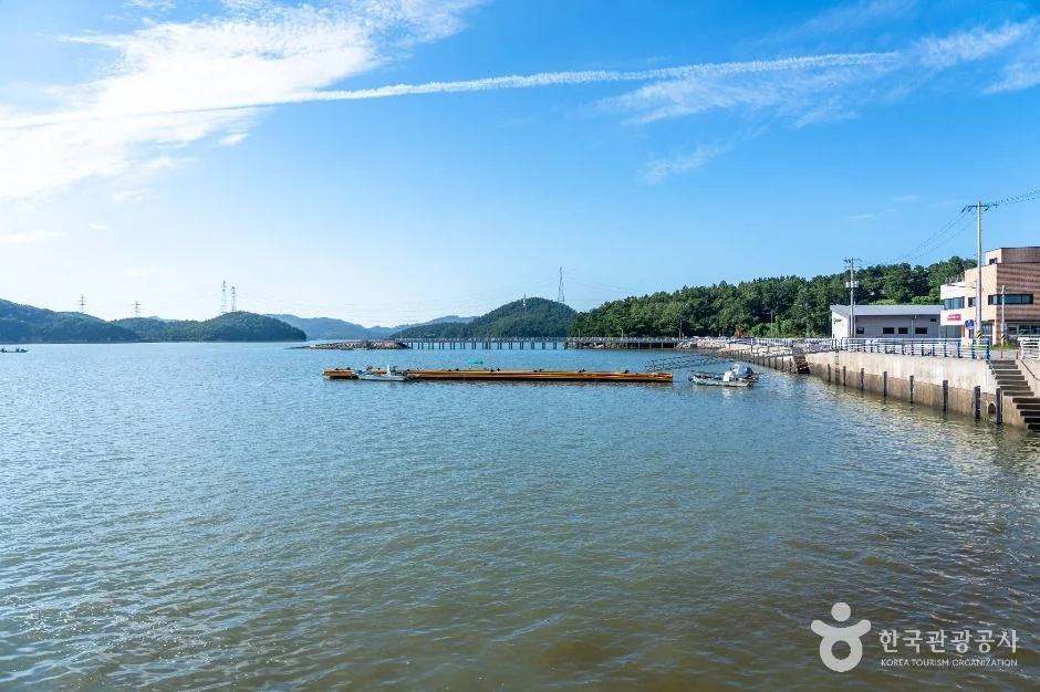 서산 구도선착장, 갯벌 체험과 낚시 명소 방문 정보