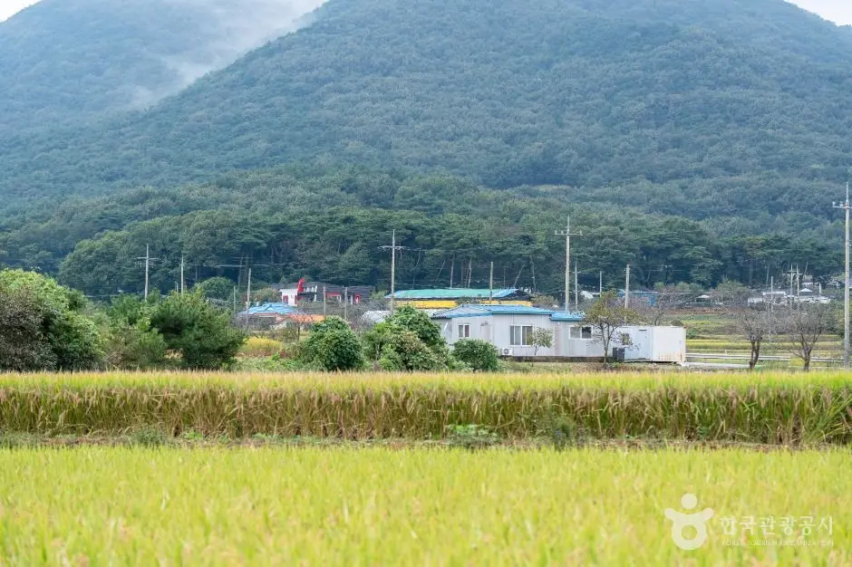 서산시_서산 회포마을 (6)