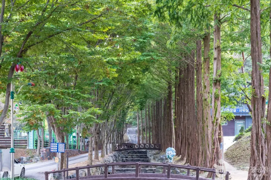 칠갑산자연휴양림 (4)