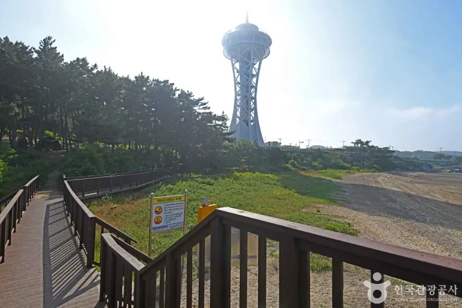 속동전망대 (6)