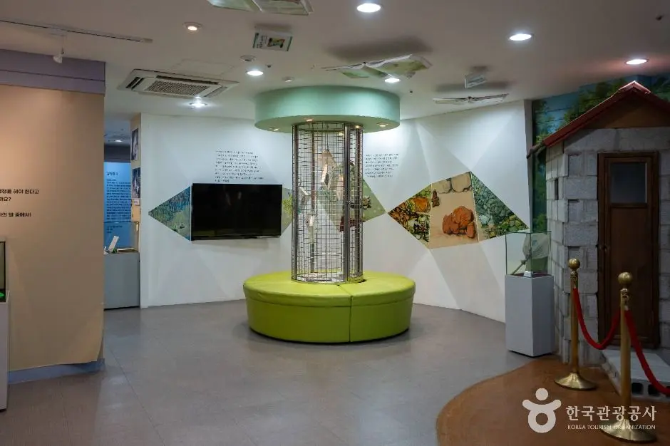 안동_권정생동화나라 (6)