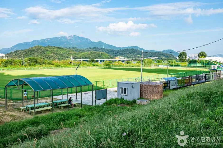 칠곡_석적체육공원 (4)