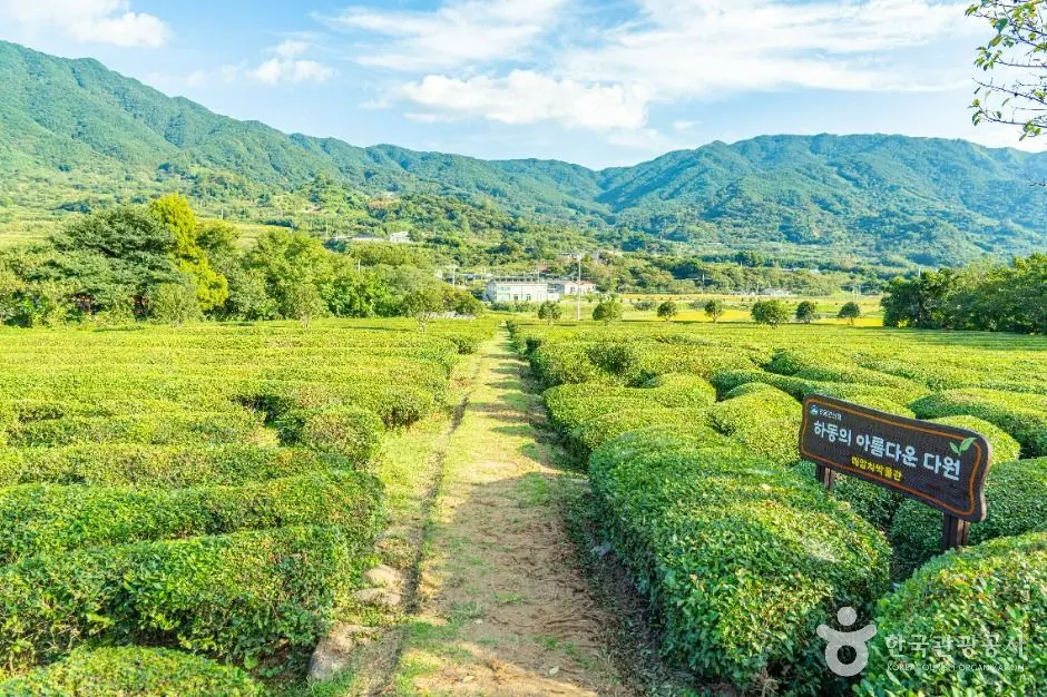 하동_경남 하동 악양면 [슬로시티] (7)