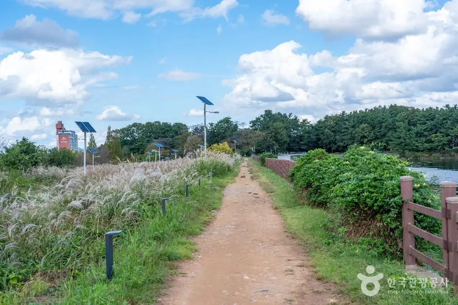 군산_군산호수 둘레길 (1)