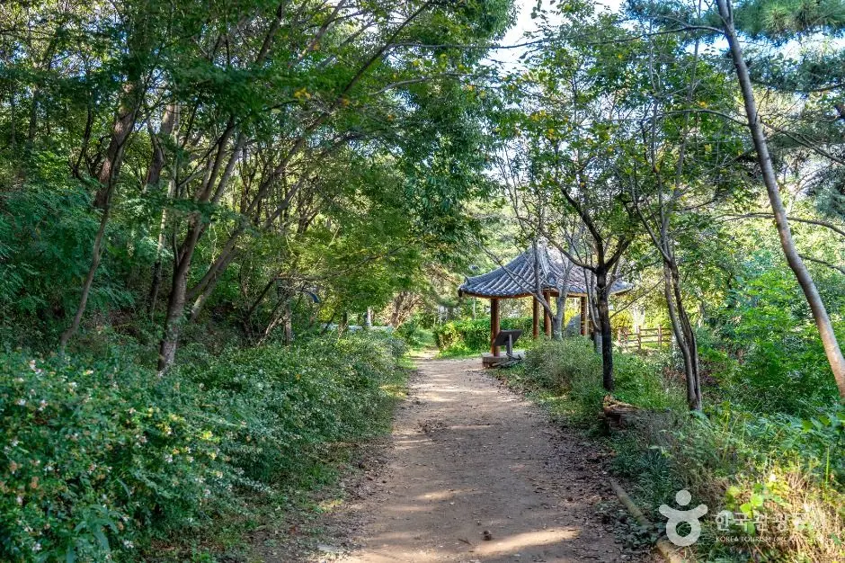 군산_군산호수 둘레길 (2)