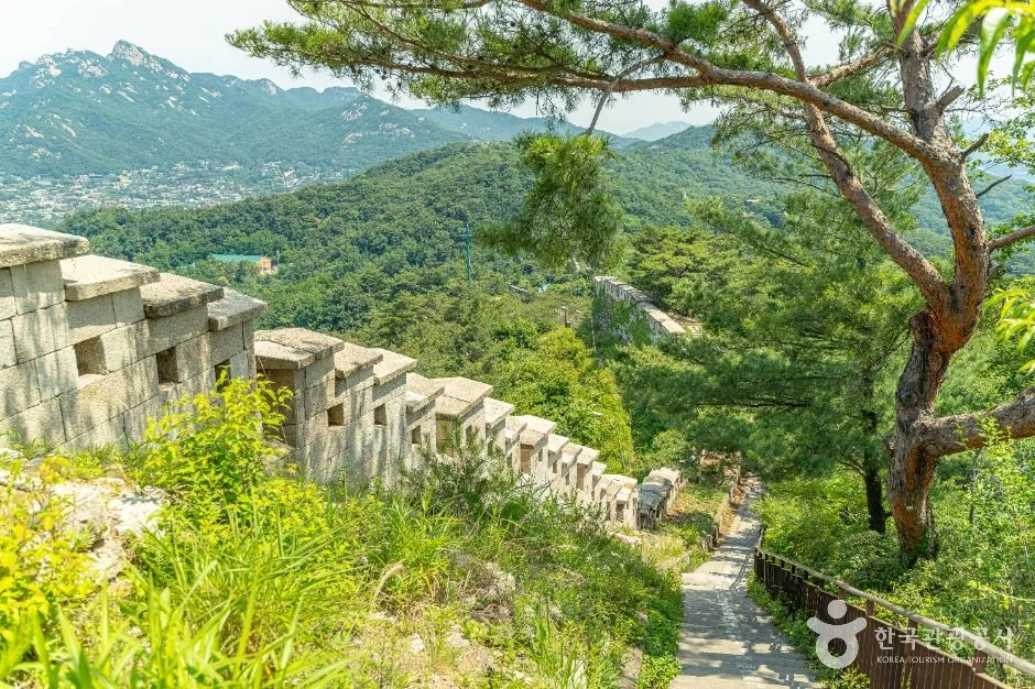 창덕궁 낙선재, 역사 속 왕실의 숨결을 느끼는 서울 종로구 고궁 산책