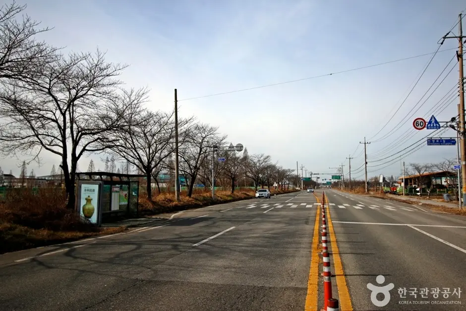 전군가도100리벚꽃길 (3)
