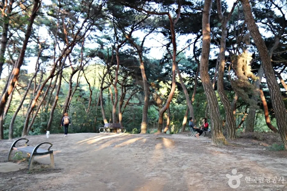 배산체육공원 (16)