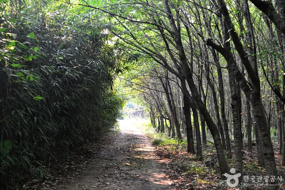 전남_구례_대전리석불입상 (9)