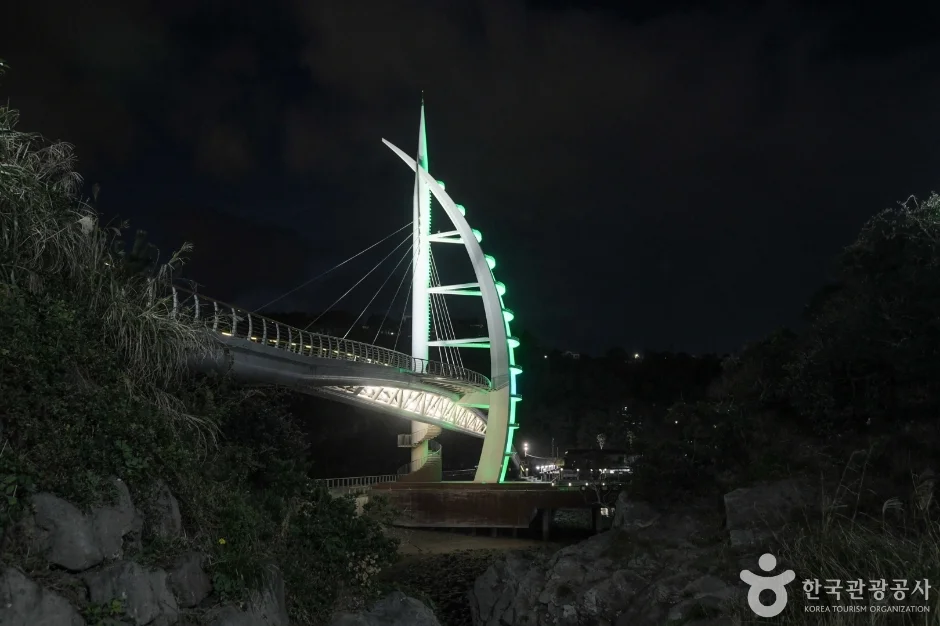 야경이 이렇게 예쁜데 입장료가 없다고?"... 제주 서귀포시, 새연교의 밤을 무료로 즐기는 법
