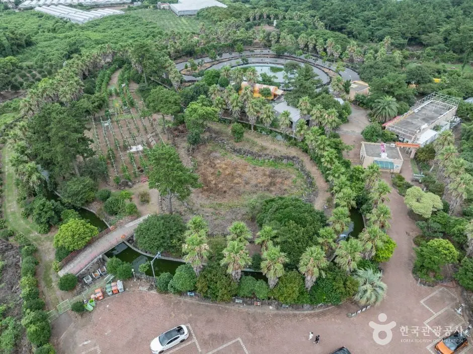 제주_비체올린 (9)