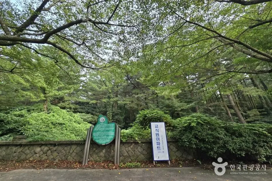 제주대 벚꽃길_e (2)