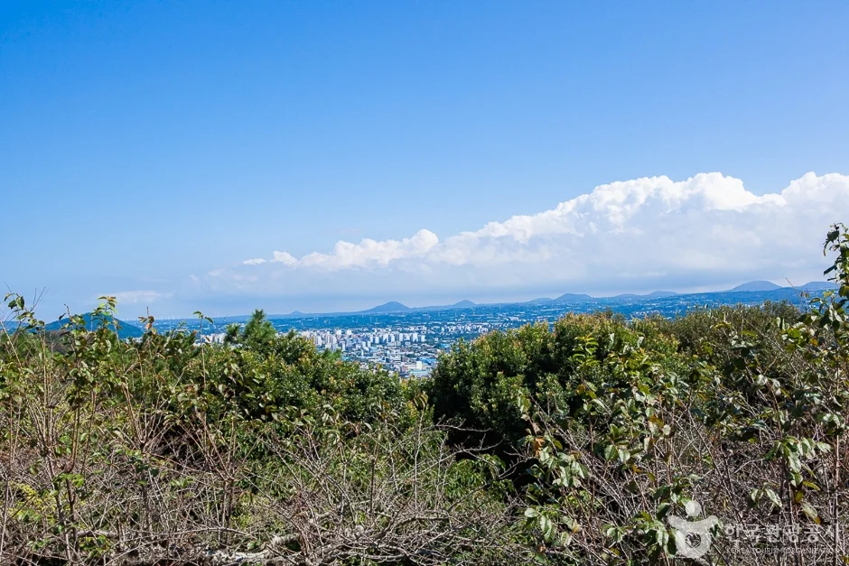 제주시 사라봉, 야경 명소에서 바라본 제주 시내 전망과 주차 팁