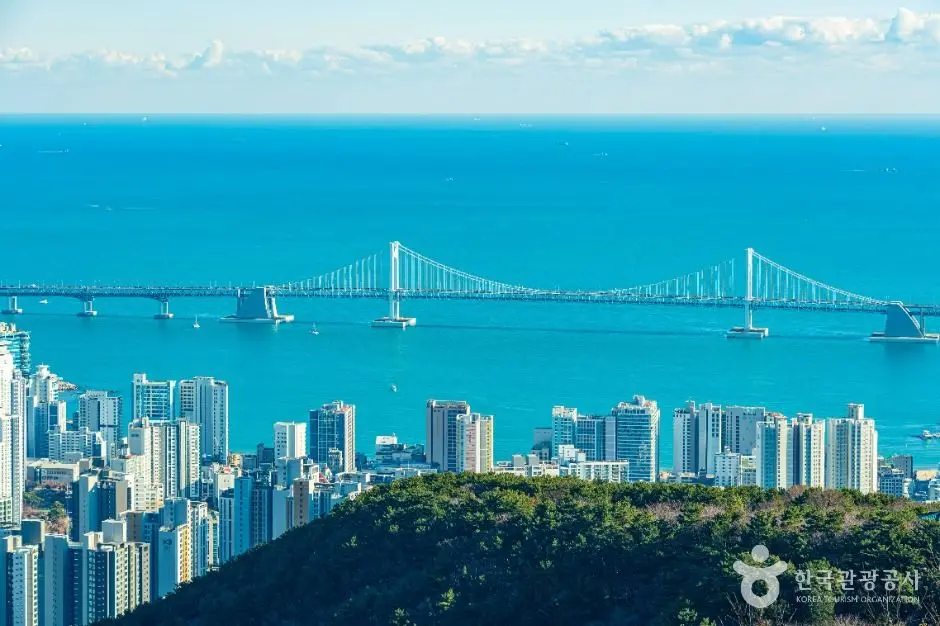 부산_금련산 (2)