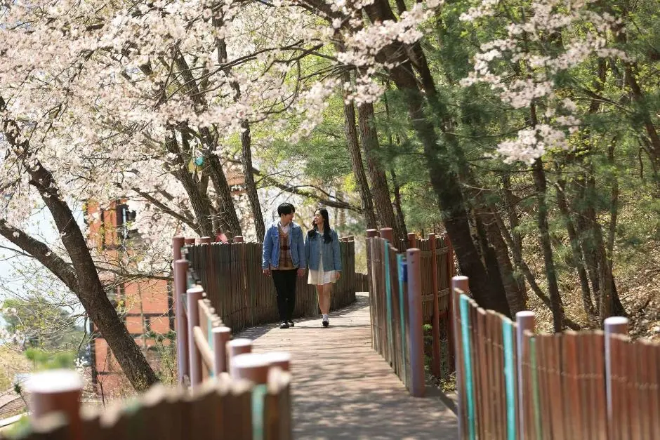 쁘띠프랑스 (3)